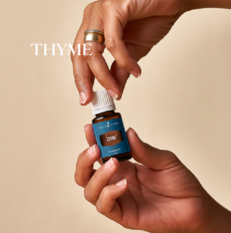 百里香 Thyme