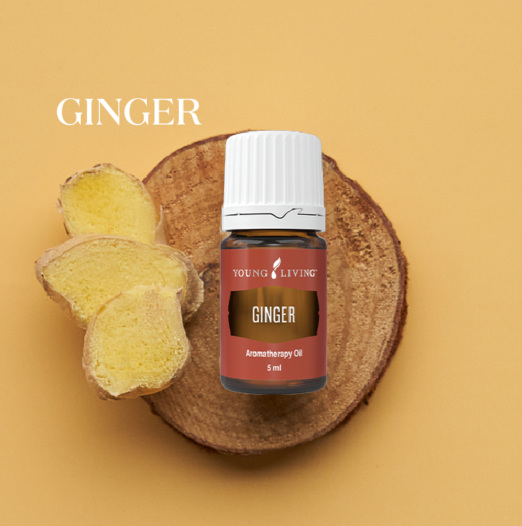 生姜 Ginger