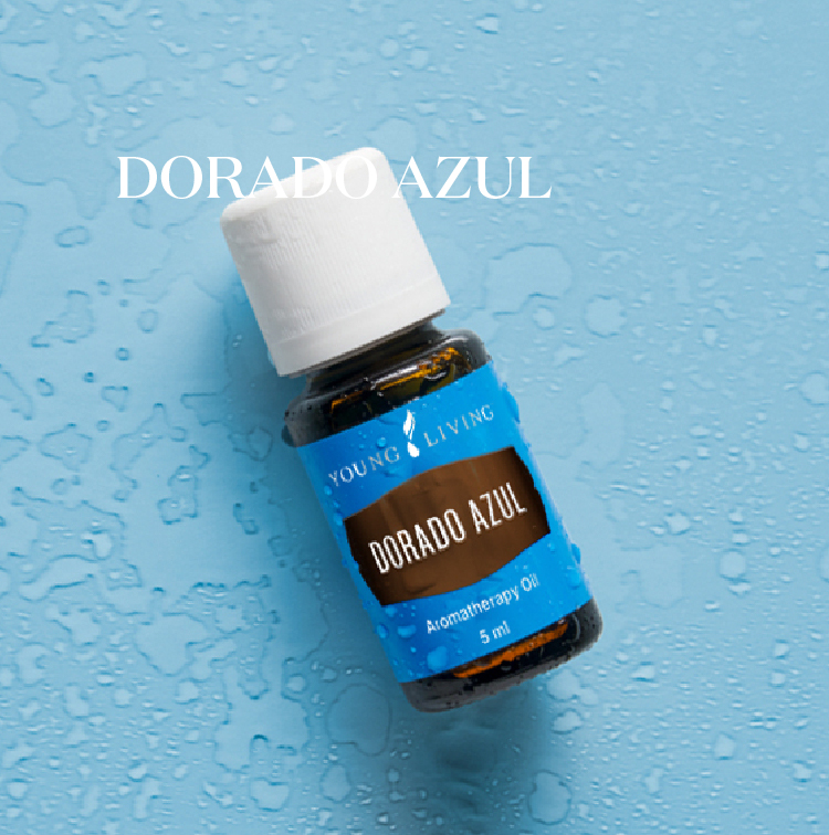 山香 Dorado Azul