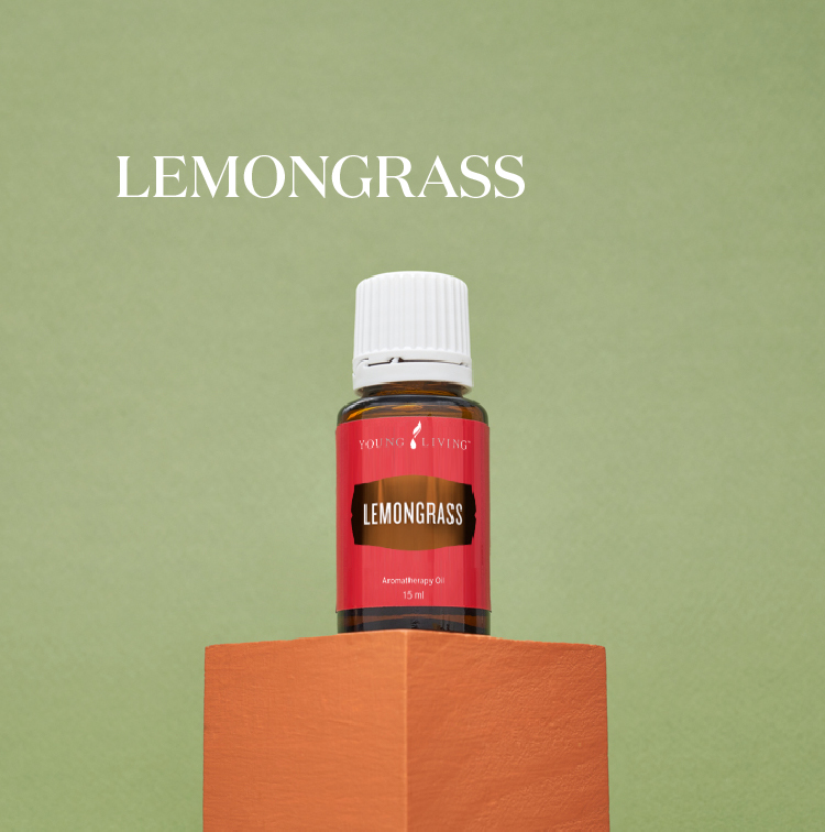 柠檬香茅 Lemongrass