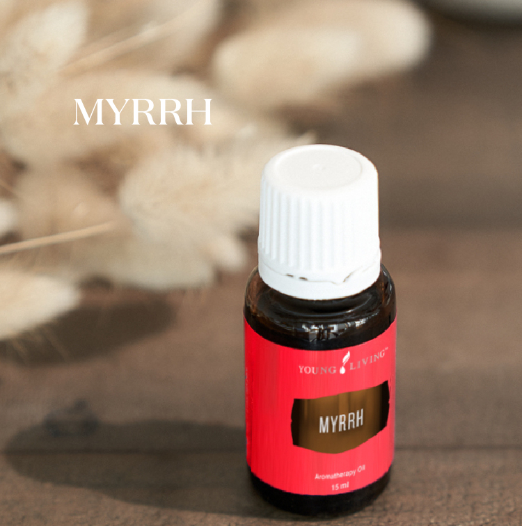 鍥剧墖