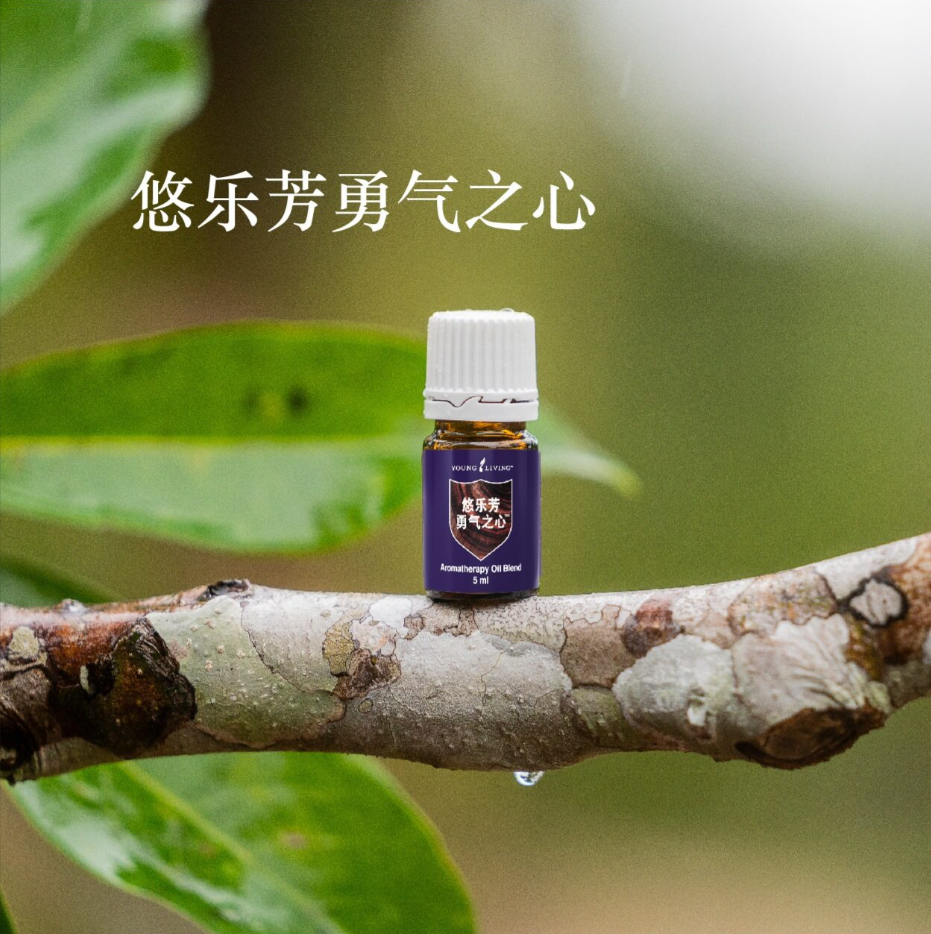 鍥剧墖