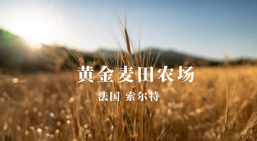 法国黄金麦田农场