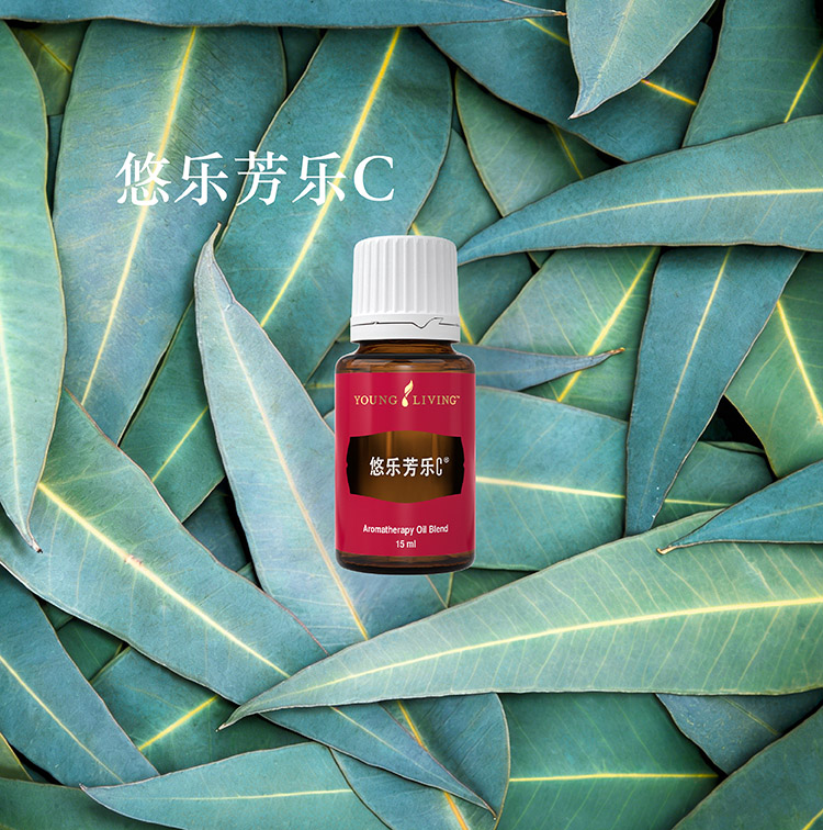 鍥剧墖