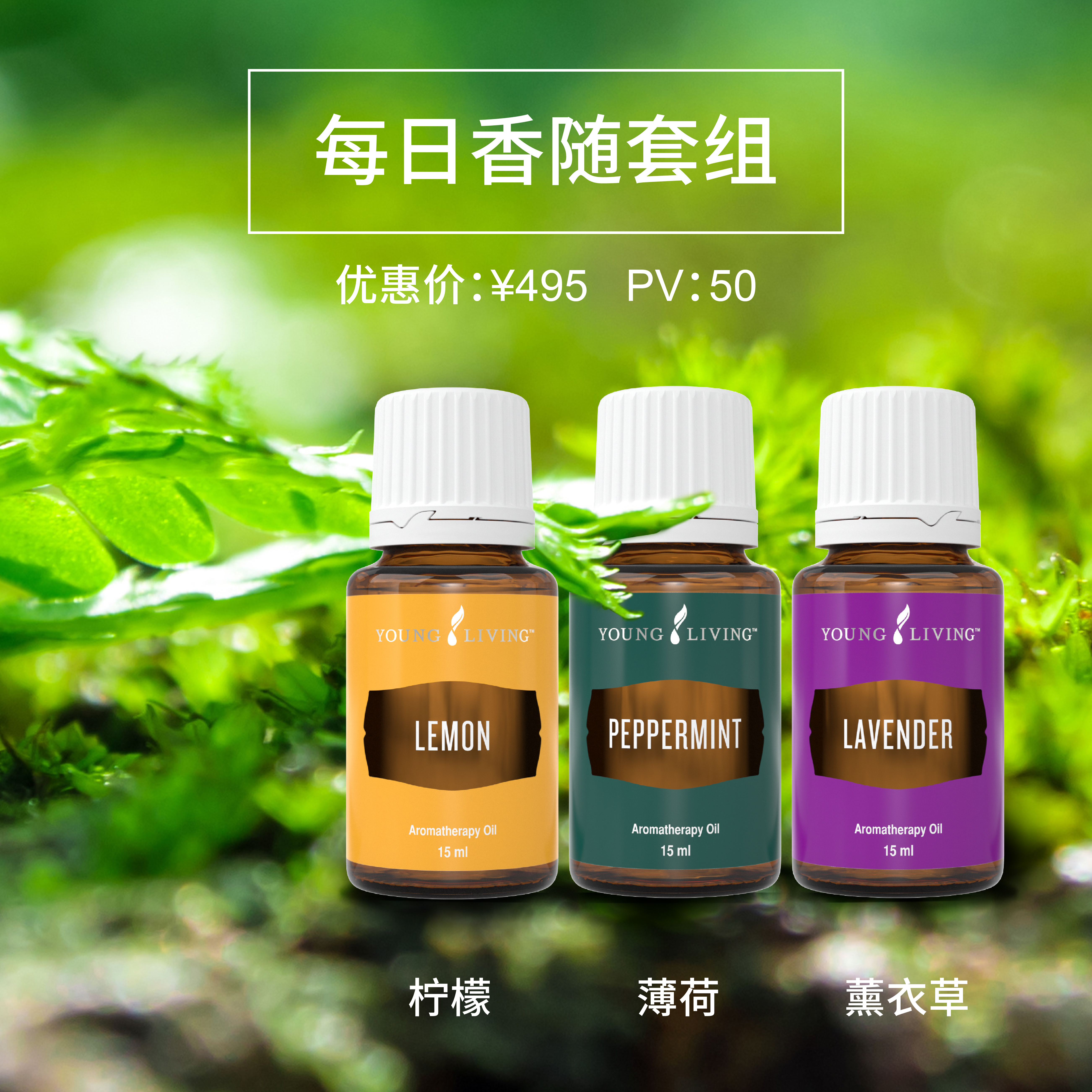 鍥剧墖